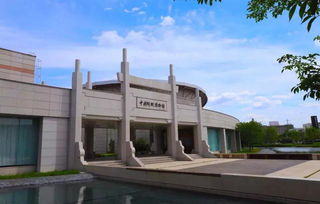 千人研学团走进阿胶世界 于旅途中探寻中医药文化的博大精深