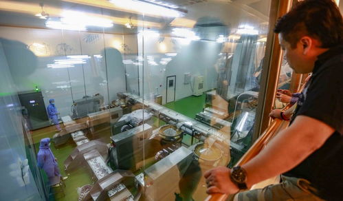 工业与椰香的交响曲 文昌龙楼椰子王国观光工厂的融合之旅